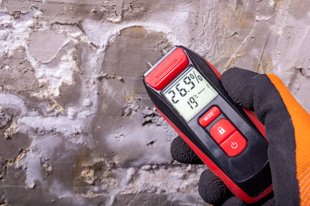 Best Commercial Mold Removal  in Lawrenceville, GA